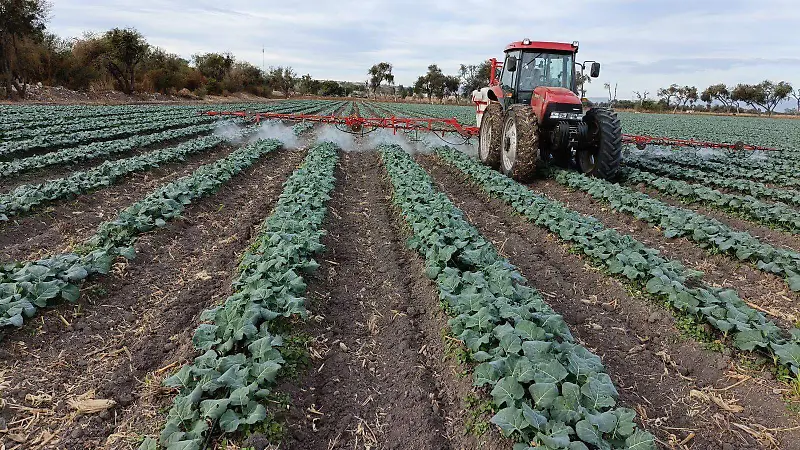 campo 3